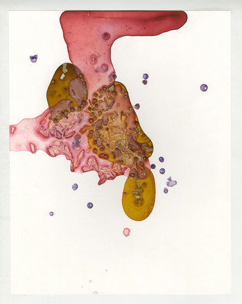 Artifactsof_Adjacent Possibilities_Yellow and Pink Series 9-10.jpg